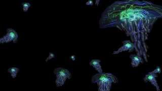 Jelly Fish Light Graffiti Hd