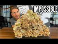 INSANE SHAWARMA CHALLENGE (13lbs) | WORLDS BIGGEST | Middle Eastern Food Challenge | Man Vs Food