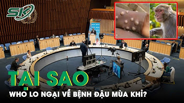 Nguyên Nhân Khiến Who Lo Ngại Về Dịch Bệnh Đậu Mùa Khỉ? | SKĐS