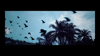 Kasai Allstars - The Large Bird, the Woman and the Baby (Khalab Remix) - Official Music Video
