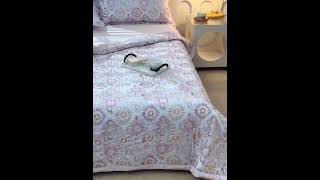 PQN1218eb63d494eaed10395196441e86ef mp4 convert