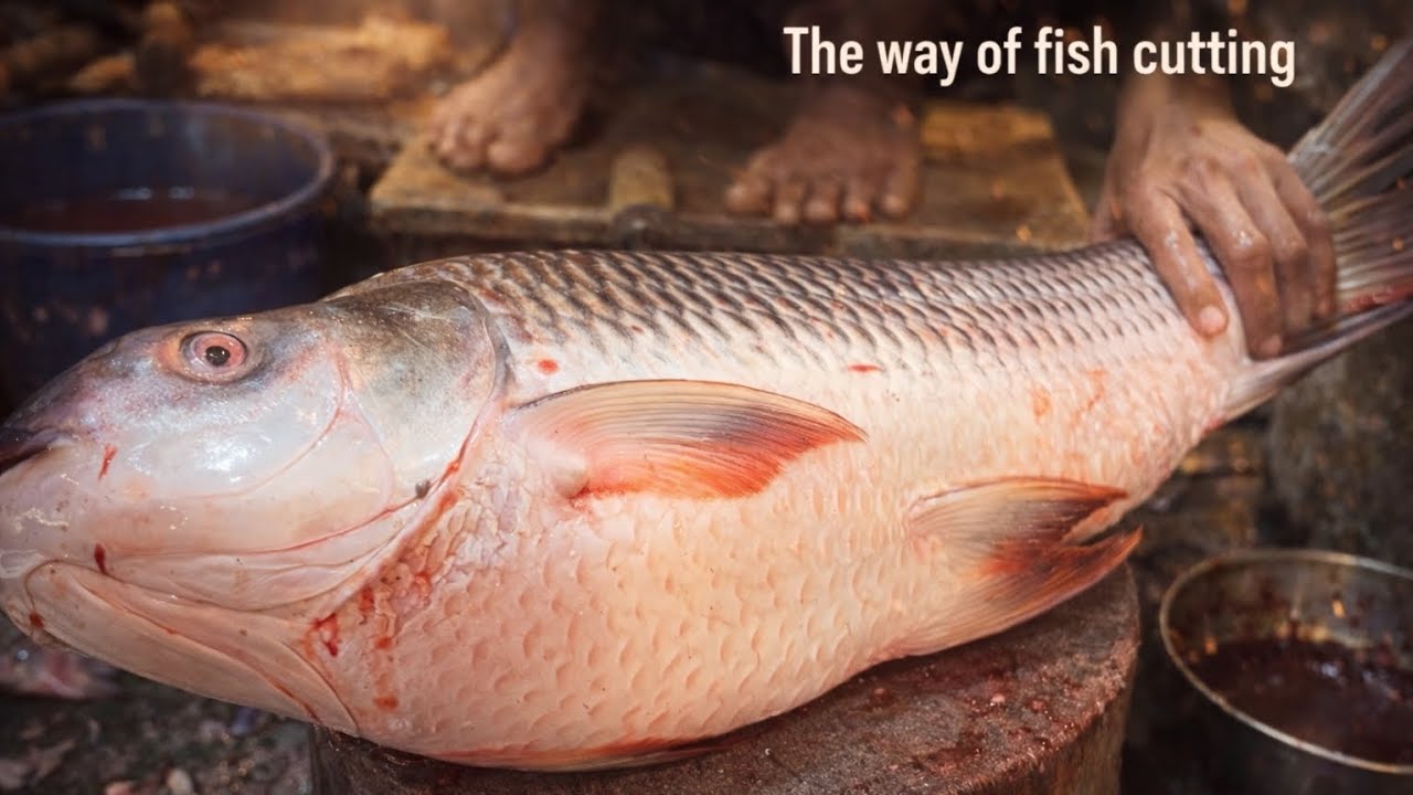 Massive 8lb Rohu Fish Filleting 🔪 | Satisfying & Clean ASMR