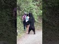 【絶体絶命】森でクマに遭遇した女性、神対応でやり過ごす