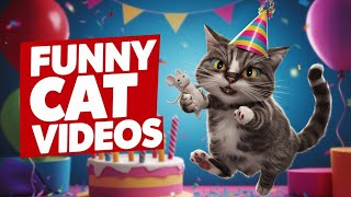 Funniest Cat videos Of 2024#youtubeshorts #cat#funnycatmoments