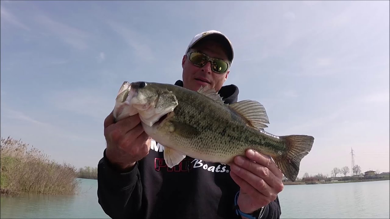 Bass Fishing : Pesca in primavera/Pre Frega by Luca Quintavalla
