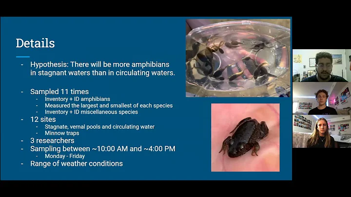 Amphibians in the Eco-Corridor