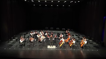 Intermezzo - Swashbucklers Saga