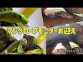 飼育環境の変更　捕食シーン