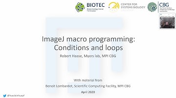 03d ImageJ Macro programming: Conditions and loops