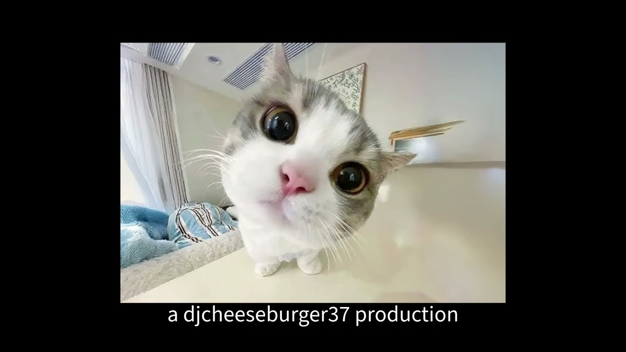 slayr x prettifun type beat - 