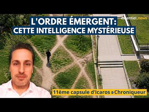 Icaros: Emergent Order, That Mysterious Intelligence
