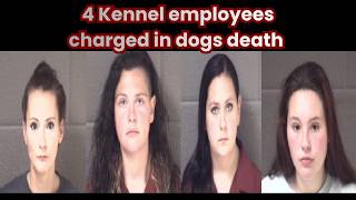 Two dogs died in kennel. #pets