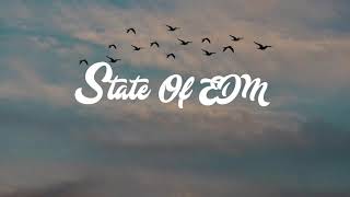 Skrillex & Softest Hard - ID (Bird Visuals) [Dude Trapz Vol. 2] screenshot 5