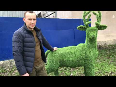 Топиарная фигура 'Олень'