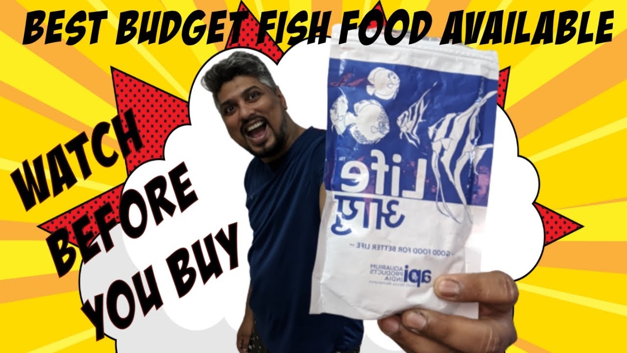API LifeAayu Fish Food Best Aquarium Fish Food from India YouTube