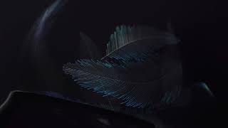 Nike Flyknit Super Wow...