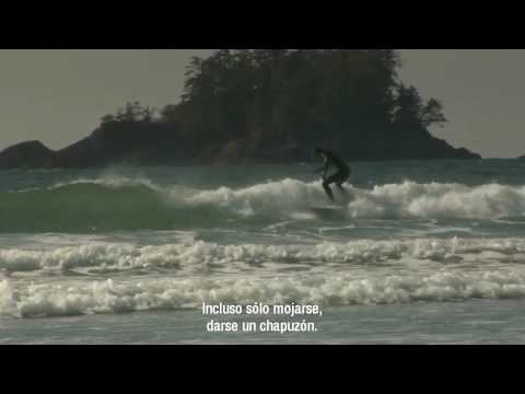 Video: Tofino para los perros.