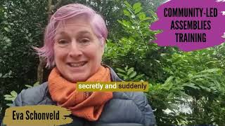 Introduction to our Community-Led Assemblies Training course