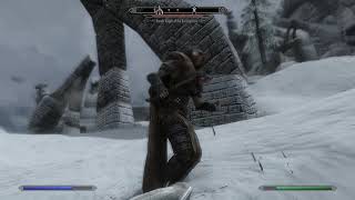 Skyrim Fights