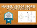 AWS Generative AI Developer Professional Cert - Vector Store Architecture