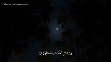 سورة القصص من الاية ٢٩ الي الاية ٣٠ بصوت الشيخ محمد صديق المنشاوي