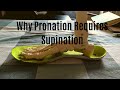 Why Training Pronation Requires "Sense" of Supination
