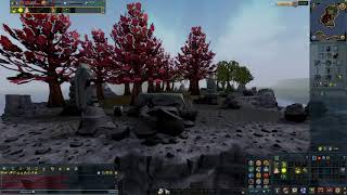 How to Find Maple Trees F2P Runescape