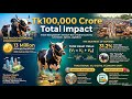 Podcast - Why A Viral Golden Buffalo Broke A Billion Dollar Market