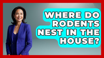 Where Do Rodents Nest In The House? - Insects and Invaders