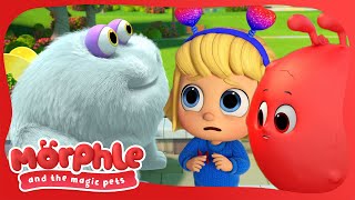 Gobblefrog! | Morphle and The Magic Pets | Available on Disney+ and Disney Jr