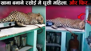 महिला के किचन में घुसे तेंदुए ने जो किया... ।। Wild animal encounters (Part-18)