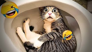 New Funny Animals 2024 🤣 Funniest Dogs and Cats 😻🐶
