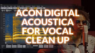 Use Acon Acoustica To Clean Up Vocals