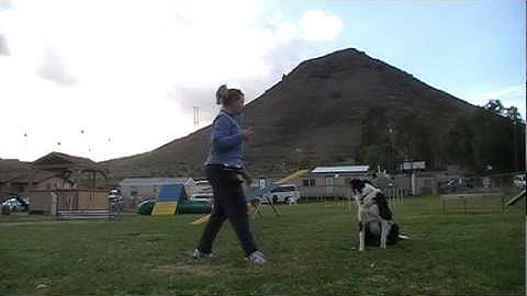 Using a whistle for an emergency recall - Clicker Dog Training Tutorial