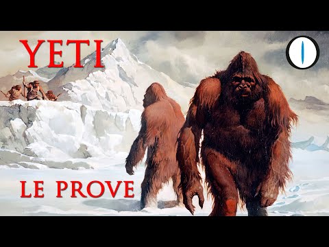 Video: Gli Alpinisti Giapponesi Hanno Trovato Le Impronte Dello Yeti - Visualizzazione Alternativa