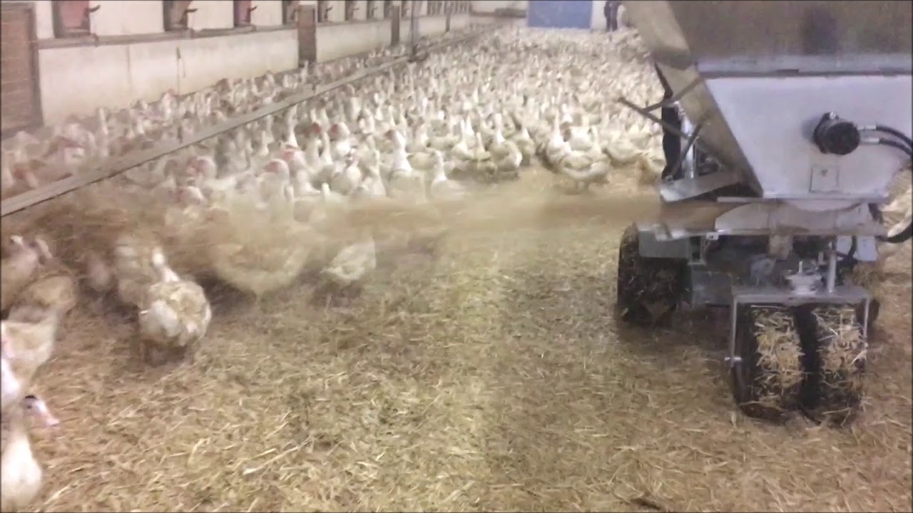 PAILLE-AVIC 2 par ECS