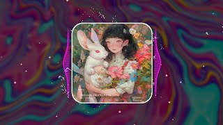 Trời Giấu Trời Mang Đi Remix | Raw-J x Toan Remix | HOT TIK TOK 2024 | 1107 Music