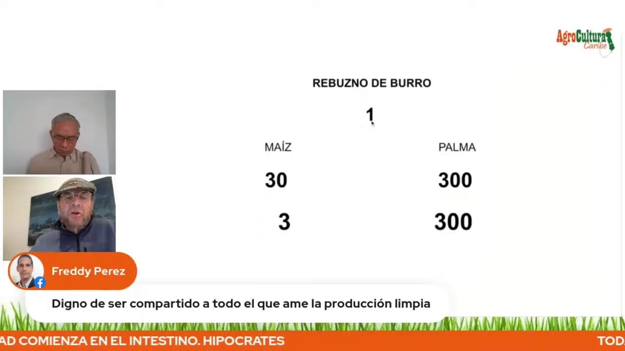 ¿Cómo resucitar un suelo muerto?