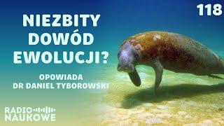 Potęga ewolucji - jak ssakom i gadom udało się wrócić do mórz? | dr Daniel Tyborowski