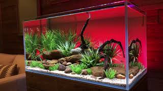A short video clip showing the many color spectrums and fades
available on-demand with new serene freshwater aquarium led light. for
more information, vi...
