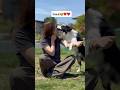 甘えん坊な相棒が可愛すぎる件　#dog #doglife #dogtricks
