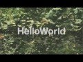 Hello World - Honey Bee