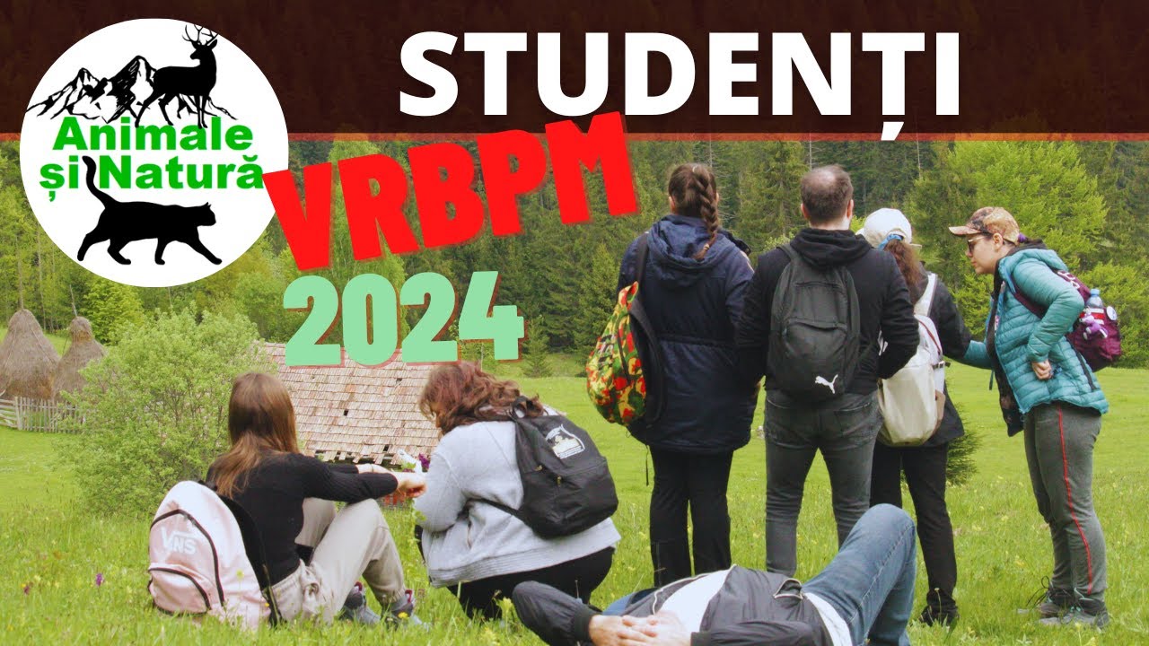 Feriga de câmp, o plantă periculoasă!- VRBPM an II 2024 - Cheile Șugăului, Lacul Roșu, Barajul Bicaz