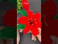 How to make Chenille Pipe Cleaner Flowers #diy #shorts #shortvideo