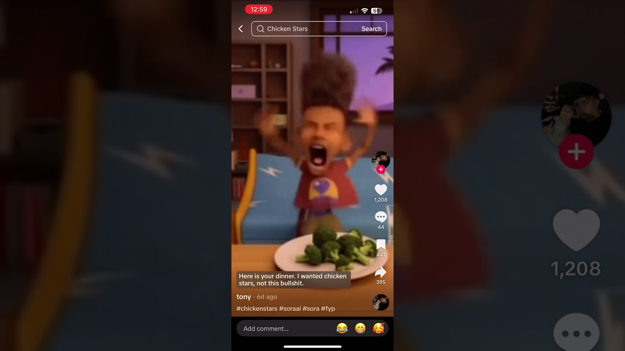 I WANTED CHICKEN STARS NOT THIS BULLSHIT!!!