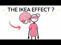 what is The IKEA Effect.