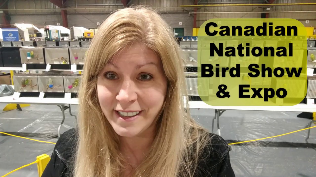 The Canadian National Bird Show & Expo  2018 | The Hookbill Division