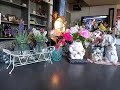 最後にもう一度    秋庭豊とアローナイツさん