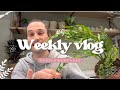 Weekly vlog 9 weekend de pques beaucoup de fleurs  ma nouvelle monstera oblica 