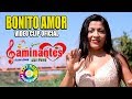 CAMINANTES DEL PERU -  BONITO AMOR [VIDEO CLIP OFICIAL] MARY MUSIC PRODUCCIONES.